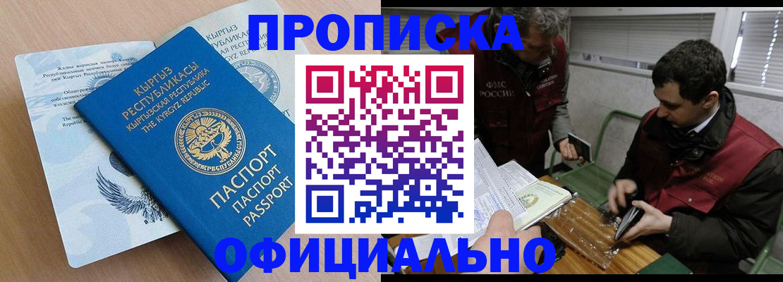 прописка в Сураже